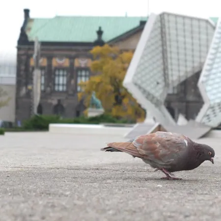 Apartman Msapartamenty Centrum 3