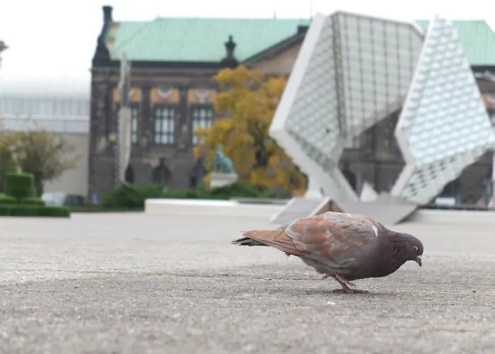 Apartament Msapartamenty Centrum 3